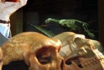 Lobanja ženska, DNK nemoguće utvrditi Foto: Ilustracija