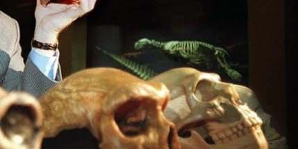 Otkrivena velika tajna Crne smrti Otkrivena velika tajna Crne smrti