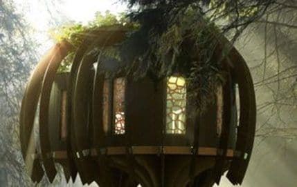 Tiha kuća na drvetu Tiha kuća na drvetu