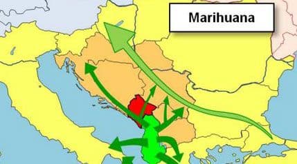SOCTA: Marihuana sedam puta jeftinija kod nas nego u EU, u Crnoj Gori oko 7500 korisnika te droge SOCTA: Marihuana sedam puta jeftinija kod nas nego u EU, u Crnoj Gori oko 7500 korisnika te droge