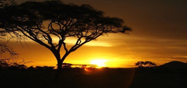 Svjetska banka: Afrika žrtva energetskog aparthejda Svjetska banka: Afrika žrtva energetskog aparthejda