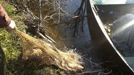 Uprava za inspekcijske poslove zaplijenila 400 kilograma ribe Uprava za inspekcijske poslove zaplijenila 400 kilograma ribe