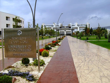 Danas izbor rektora Univerziteta Crne Gore Danas izbor rektora Univerziteta Crne Gore