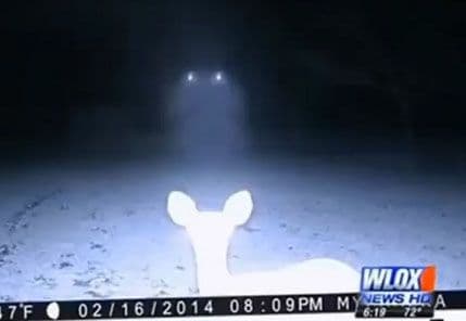 Da li je ovo NLO ili špijunska letjelica? Da li je ovo NLO ili špijunska letjelica?