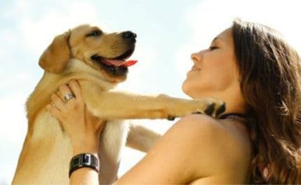 Da li ste najveći ljubitelj životinja na svijetu? Da li ste najveći ljubitelj životinja na svijetu?