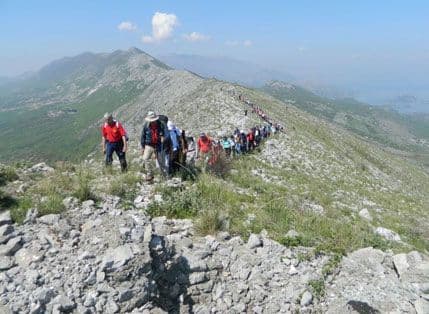 MIROTIĆ: Idemo na Taraboš da se ispričamo sa precima MIROTIĆ: Idemo na Taraboš da se ispričamo sa precima