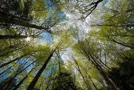I sjutra sunčano i toplo, od utorka osjetan pad temperature I sjutra sunčano i toplo, od utorka osjetan pad temperature