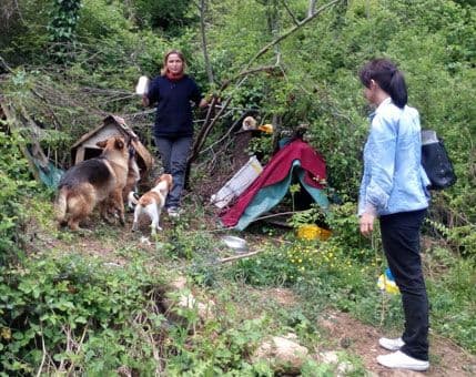 Profesorica Vulićević osnovala utočište za pse i mačke: Pravo lice altruizma Profesorica Vulićević osnovala utočište za pse i mačke: Pravo lice altruizma