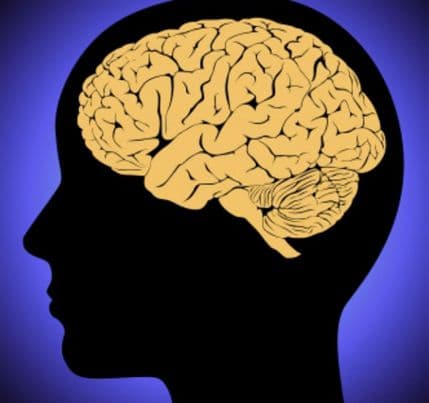 Naučnici: Mozak je "na vrhuncu" u 24. godini Naučnici: Mozak je "na vrhuncu" u 24. godini