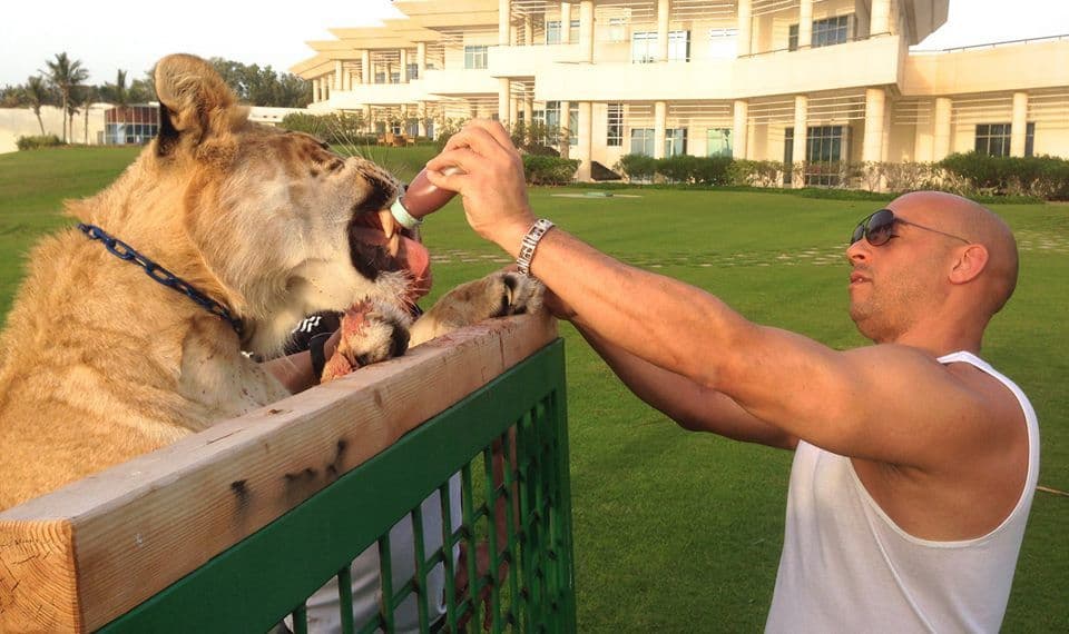 FOTO: Vin Dizel hrani lavicu FOTO: Vin Dizel hrani lavicu