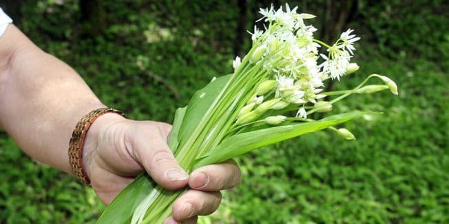 BiH: Četiri osobe se otrovale mrazovcem BiH: Četiri osobe se otrovale mrazovcem