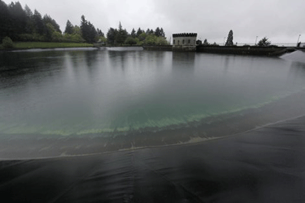 Portland: Urinirao u rezervoar i uništio 142.000 tona pijaće vode Portland: Urinirao u rezervoar i uništio 142.000 tona pijaće vode