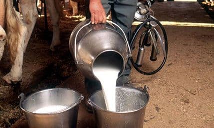 U martu otkupljeno skoro dva miliona litara mlijeka U martu otkupljeno skoro dva miliona litara mlijeka