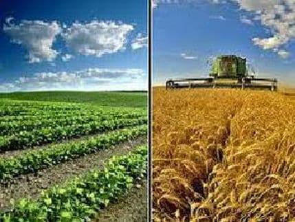 Grantovi EU za ruralni razvoj dostupni crnogorskim proizvođačima Grantovi EU za ruralni razvoj dostupni crnogorskim proizvođačima