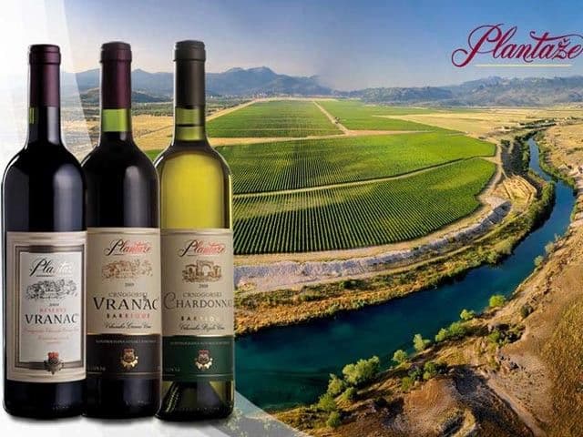 Plantaže bez posebnih problema u Rusiji Plantaže bez posebnih problema u Rusiji