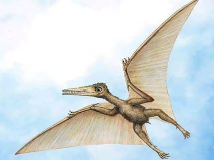 Otkriven "skriveni zmaj", reptil star 163 miliona godina! Otkriven "skriveni zmaj", reptil star 163 miliona godina!