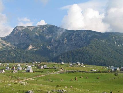 Budžetska izdvajanja za poljoprivredu u Crnoj Gori- ubjedljivo najniža u regionu Budžetska izdvajanja za poljoprivredu u Crnoj Gori- ubjedljivo najniža u regionu