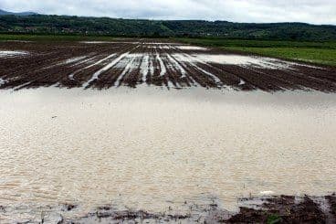 Kiša donijela poplave i Hrvatskoj Kiša donijela poplave i Hrvatskoj
