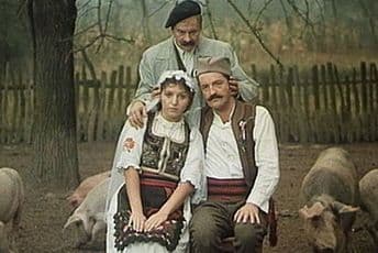 Karanovićev "Petrijin venac" na Sceni 213