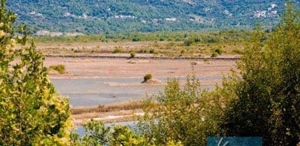 CZIP: Svjetski dan ptica selica na Tivatskim solilima CZIP: Svjetski dan ptica selica na Tivatskim solilima