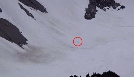 Snimak misterioznog stvorenja iz snijega uzburkao internet Snimak misterioznog stvorenja iz snijega uzburkao internet