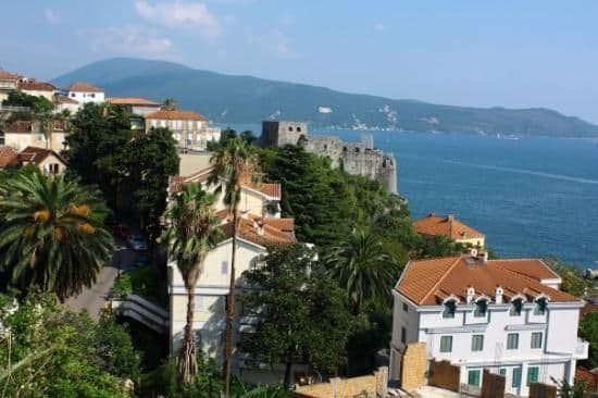 Herceg Novi: Gojković žestoko optužio Mandića Herceg Novi: Gojković žestoko optužio Mandića