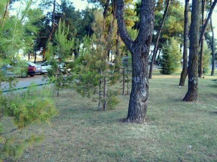 Sjutra promocija zdravih životnih stilova Sjutra promocija zdravih životnih stilova