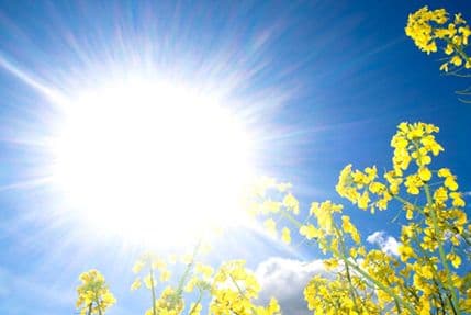 Sunčano za dane vikenda, od ponedjeljka mjestimično kiša Sunčano za dane vikenda, od ponedjeljka mjestimično kiša