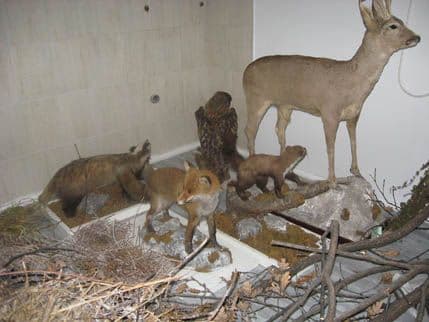 Noć muzeja: Izložba i radionice u novom prostoru Prirodnjačkog Noć muzeja: Izložba i radionice u novom prostoru Prirodnjačkog