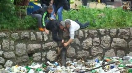 VIDEO: Zeničani spasili psa od davljenja VIDEO: Zeničani spasili psa od davljenja