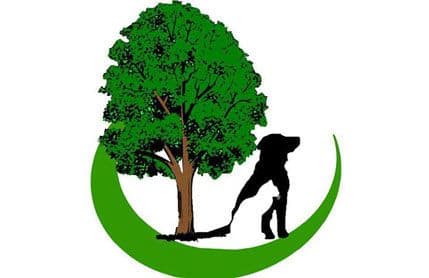 Bar: Peticija za izgradnju skloništa za napuštene životinje Bar: Peticija za izgradnju skloništa za napuštene životinje