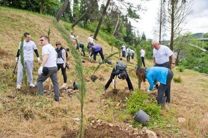 Societe Generale banka poklonila 150 sadnica za parkove u Podgorici Societe Generale banka poklonila 150 sadnica za parkove u Podgorici