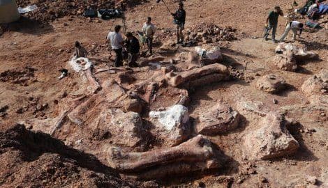 FOTO: Otkriven fosil najvećeg dinosaurusa svih vremena FOTO: Otkriven fosil najvećeg dinosaurusa svih vremena