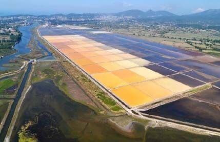 Prekinut štrajk u Solani “Bajo Sekulić” Prekinut štrajk u Solani “Bajo Sekulić”