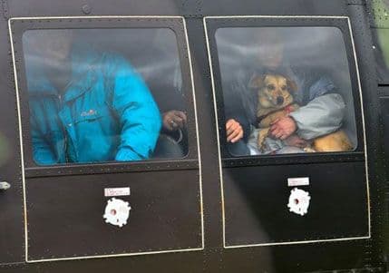 SRBIJA: Kućni ljubimci nisu opasnost po zdravlje ljudi SRBIJA: Kućni ljubimci nisu opasnost po zdravlje ljudi