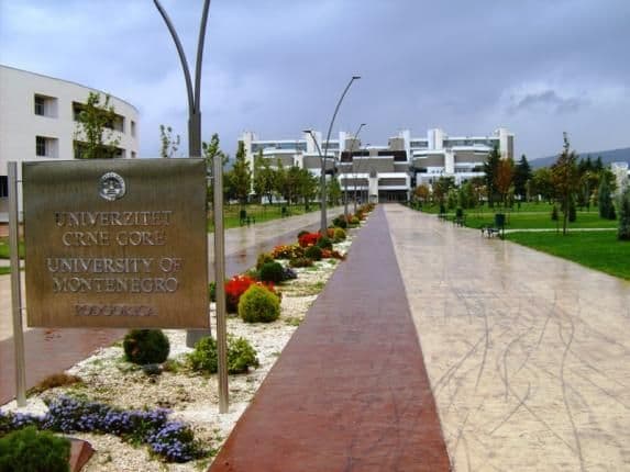 Profesori traže ministarske i poslaničke plate Profesori traže ministarske i poslaničke plate