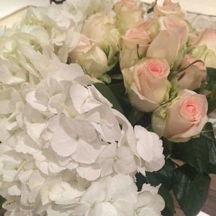 Jarić iznenadio Limu sobom punom cvijeća Jarić iznenadio Limu sobom punom cvijeća