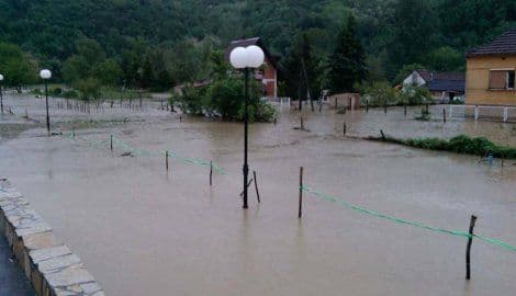 Uništeno 130 tona leševa, 20 tona mlijeka, 1,8 tona koža Uništeno 130 tona leševa, 20 tona mlijeka, 1,8 tona koža