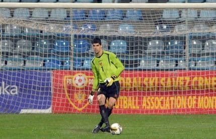 Dva Francuza se interesuju za Petkovića Dva Francuza se interesuju za Petkovića