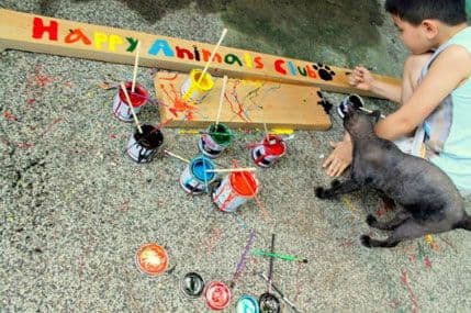 Devetogodišnjak u garaži otvorio sklonište za napuštene životinje Devetogodišnjak u garaži otvorio sklonište za napuštene životinje