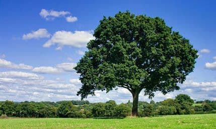 Što nam predviđaju planete za jun 2014. Što nam predviđaju planete za jun 2014.