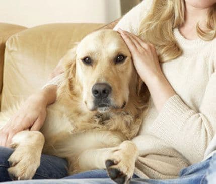 Ovo su zanimanja koja vaš pas najviše mrzi Ovo su zanimanja koja vaš pas najviše mrzi