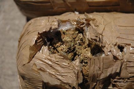 Policijski i carinski službenici spriječili krijumčarenje oko 12,6 kg skanka Policijski i carinski službenici spriječili krijumčarenje oko 12,6 kg skanka