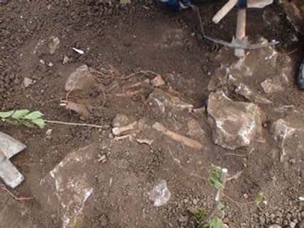 Stravično otkriće u Irskoj: U jami pronađena tijela 800 beba Stravično otkriće u Irskoj: U jami pronađena tijela 800 beba