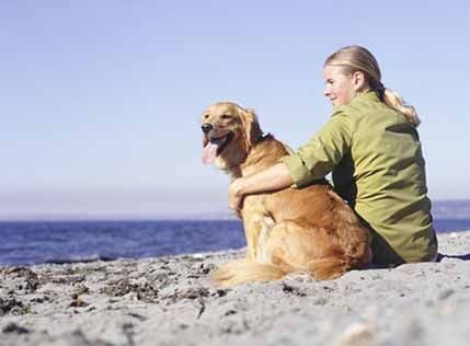 Koji kućni ljubimac odgovara kom horoskopskom znaku? Koji kućni ljubimac odgovara kom horoskopskom znaku?