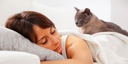 Spavanje s ljubimcima nije dobro za vas Spavanje s ljubimcima nije dobro za vas