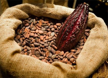 Kako da poboljšate rad pinealne žlijezde Kako da poboljšate rad pinealne žlijezde