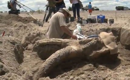 VIDEO: Studenti pravili žurku na plaži, pa pronašli pravo blago VIDEO: Studenti pravili žurku na plaži, pa pronašli pravo blago