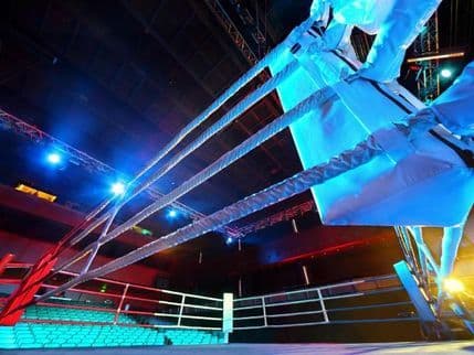 Crnogorskim kik bokserima 13 medalja u Tešnju Crnogorskim kik bokserima 13 medalja u Tešnju