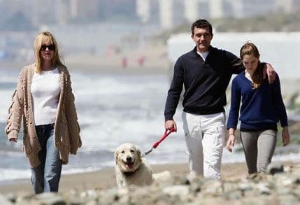 Lako se dogovorili oko brige o ćerki, ali ne i oko pasa Lako se dogovorili oko brige o ćerki, ali ne i oko pasa